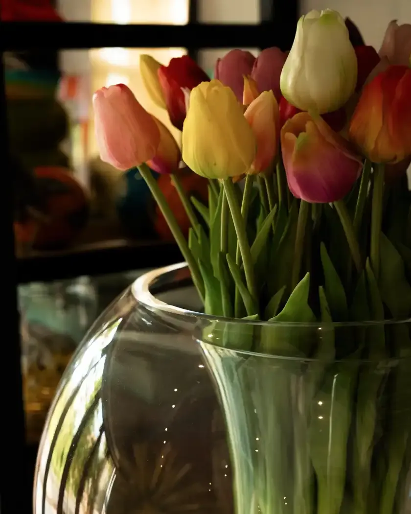 tulips